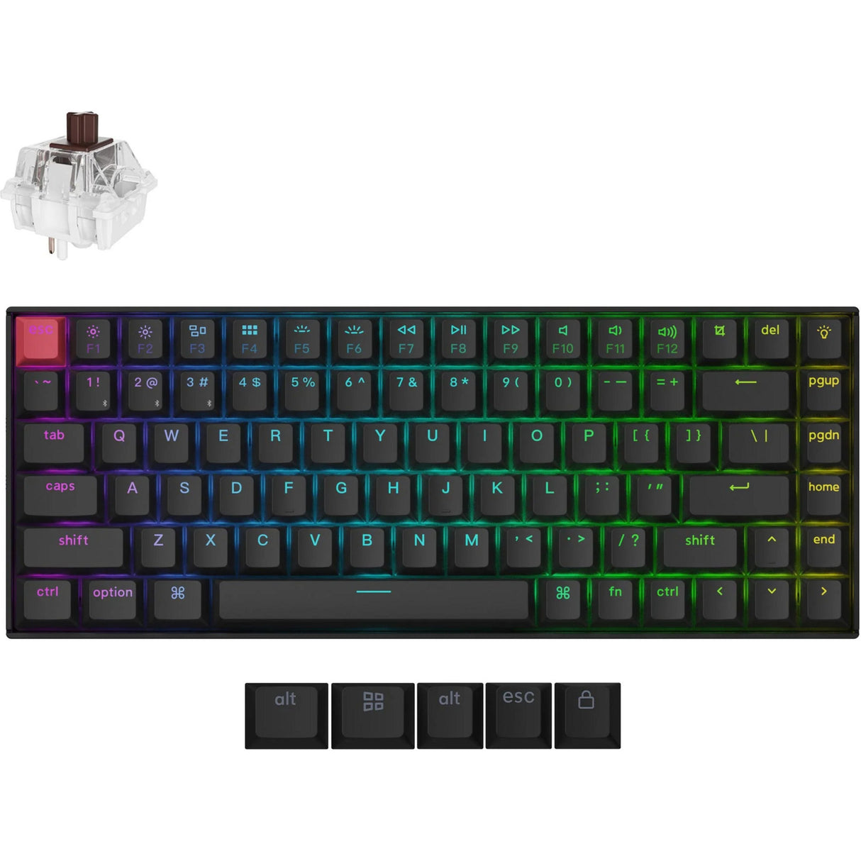 Clavier mécanique Keychron K2 QMK-H3 RGB (noir, disposition américaine (QWERTY), super marron, 75 %, LED RVB, PBT double-shot cerise, échange à chaud, Bluetooth 5.2 | USB-C)