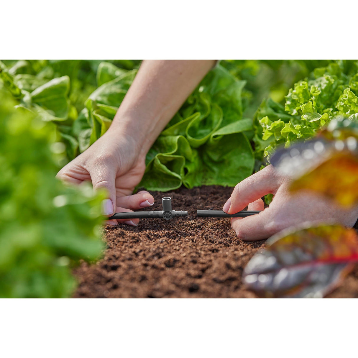 T-pice Gardena pour les pulvérisateurs Druppelaars finaux 4,6 mm (3 16