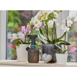 Vapeur de la plante Gardena 1 l