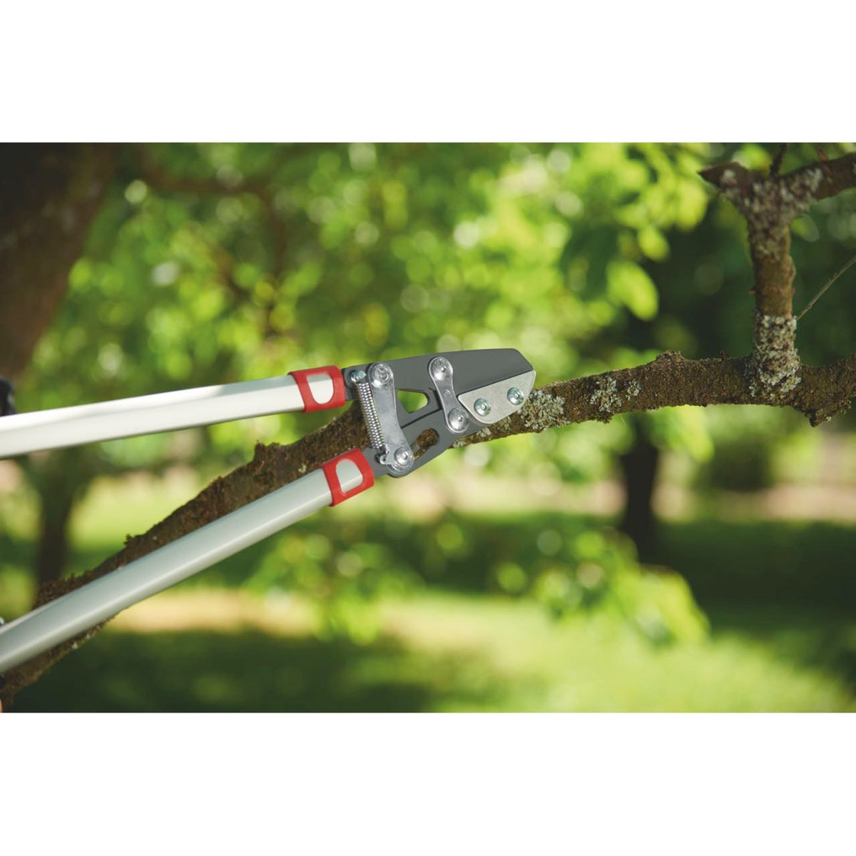 Sécateur Wolf-garten power cut rs 800 v (argent rouge)