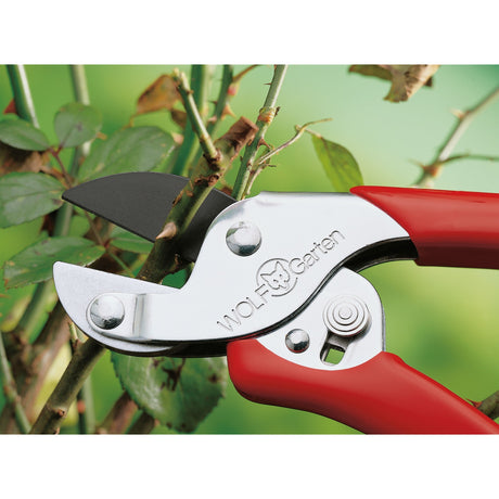 Wolf-Garten RS et Srung Shears