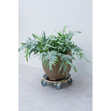 Nature Nature Plant Trolley Round