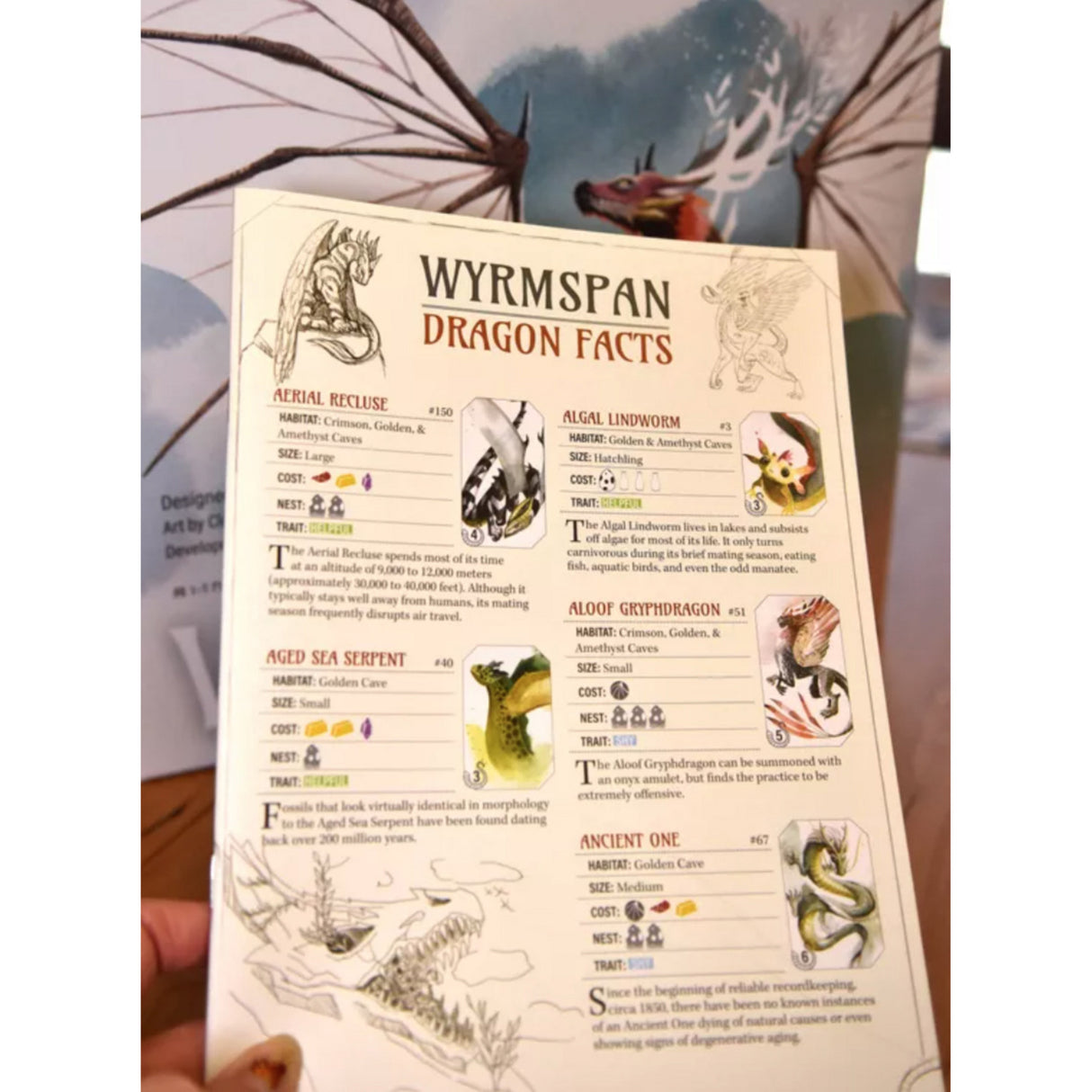 Asmodee wyrmspan - Jeu de société anglais