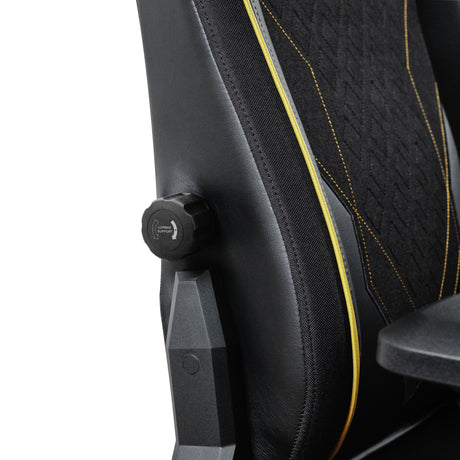 Trust GXT 721 Ruya Pro Premium Chaise de jeu confortable (noir jaune)