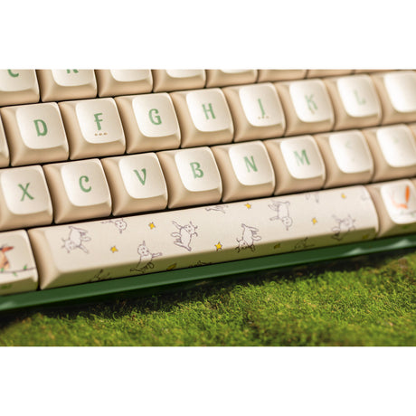 Clavier de jeu mécanique RVB Iqunix f97 floral date (vert, disposition américaine (qwerty), iquunix petit prince, 96 %, LED RVB, remplaçable à chaud, pbt, 2,4 GHz | Bluetooth 5.1 | USB-C)