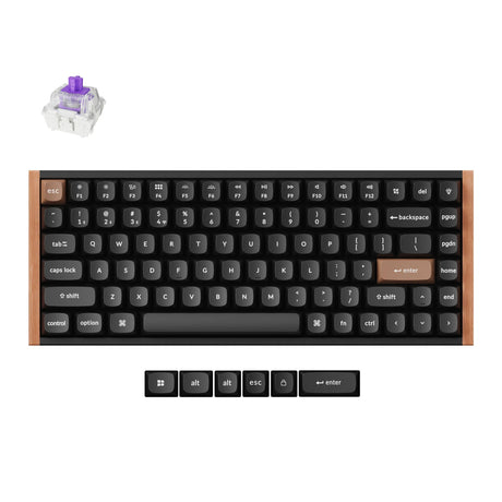 Clavier mécanique RVB Keychron K2 HE-F1 édition spéciale (noir, disposition américaine (QWERTY), nébuleuse magnétique à double rail Gateron, 75 %, LED RVB, PBT osa double-shot, échange à chaud, 2,4 GHz | Bluetooth 5.2 | USB-C)