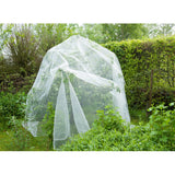 Mesh insecte de la nature, fine-mailli