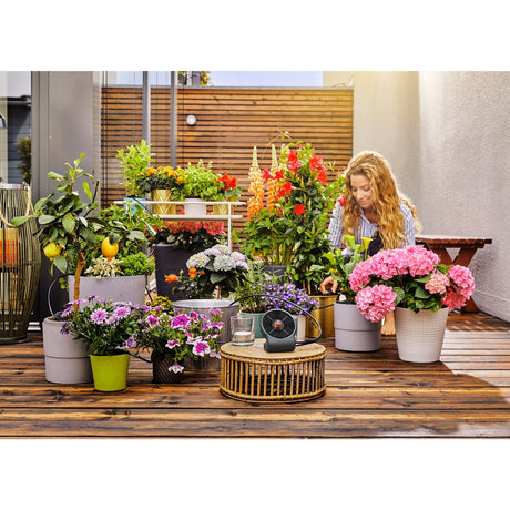 Gardena Gardena Holiday Brewater Set Aquaboloom Set