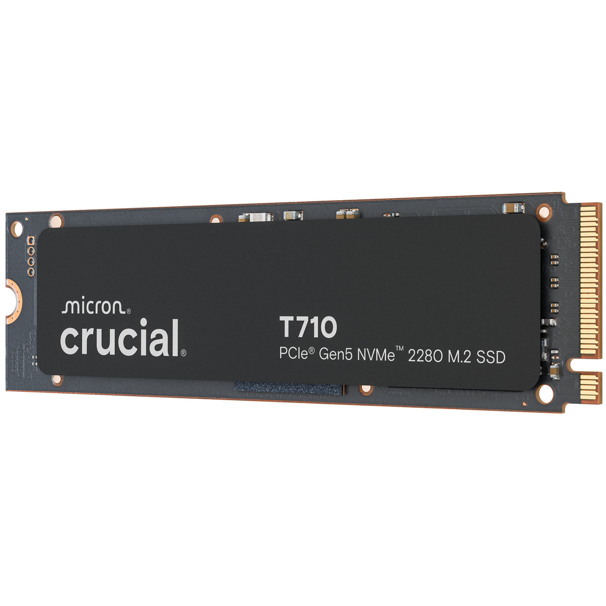 SSD Crucial T710 1 To (PCIe 5.0 x4, NVME 2.0, M.2 2280)