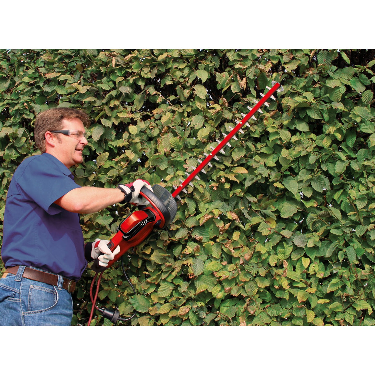 Einhell Hedge Trimmer GC-EH 6055 1