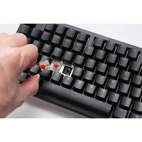 Ducky Zero 6108 clavier de jeu mécanique RVB noir classique (noir, disposition américaine (qwerty), rouge cerise mx2a, 100 %, LED RVB, pbt double-shot, échange à chaud, 2,4 GHz | Bluetooth | USB-C)