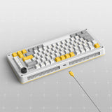 Clavier mécanique sans fil Ty iquunix zx75 gravi wave (gris, disposition américaine (qwer), rouge gateron, 75 %, LED RVB, remplaçable à chaud, pbt double prise, 2,4 GHz | Bluetooth 5.1 | USB-C)