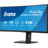 Iiyama Prolite