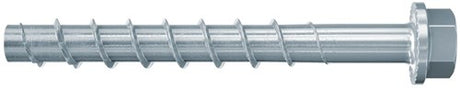 Fischer fbs ii 10x120 65 55 35 us 50 pièces - 536863
