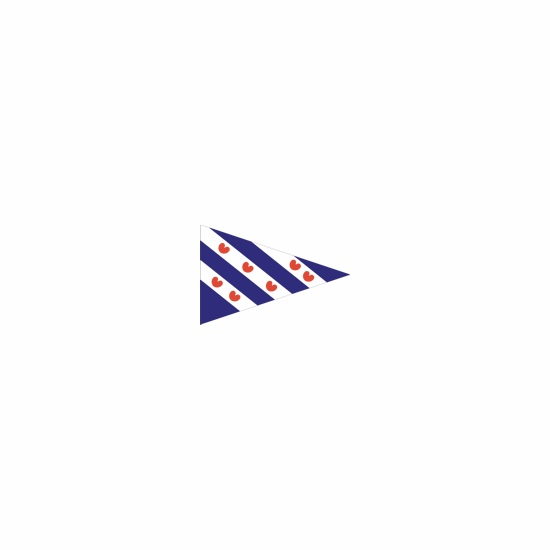 Dokkumer flags drapeau point central Frise 20x30 cm