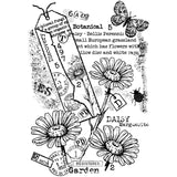 Woodware • clear singles stamp set garden daisies