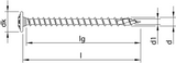 Heco-topix-plus 10,0 x 100, tk, t40, vd, vz ; 50 pièces - hc61483