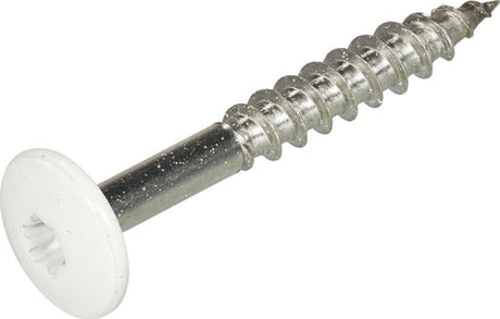 Hoenderdaal fasteners hoenderdaal hpl schroef rvs-a2 torx tx20 zuiver wit ral9010 4.8x38 | 100 stuks - 0346.30.37524