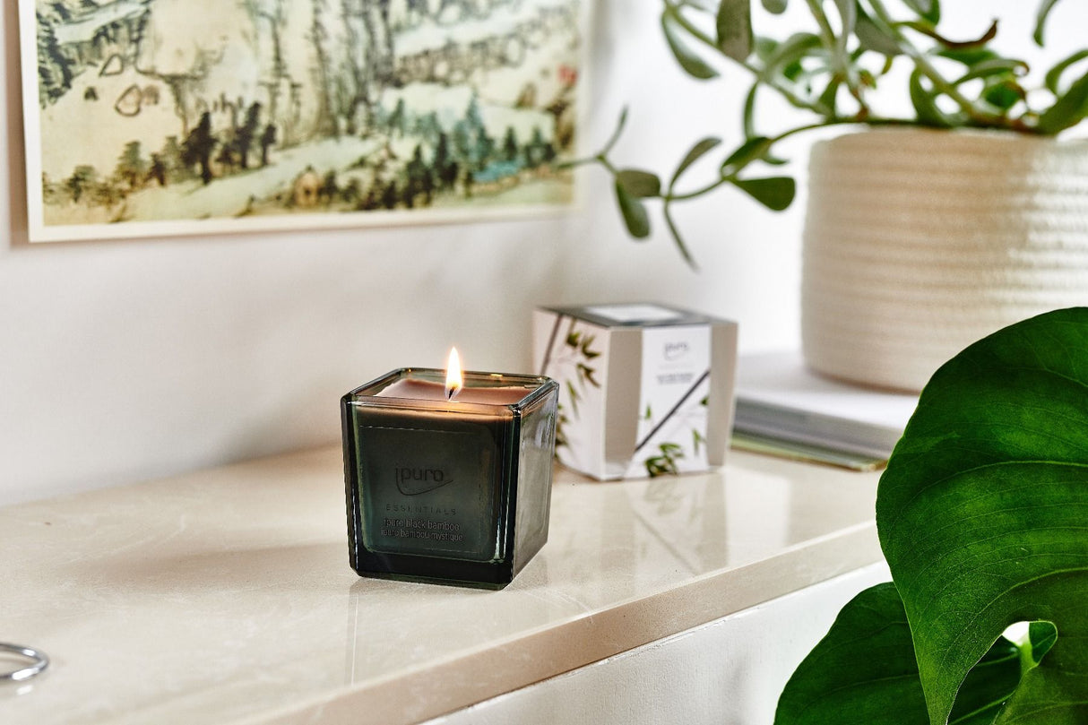 Bougie parfumée Ipuro bambou noir 125gr.