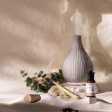 Vase aromatique Ipuro air sonic gris