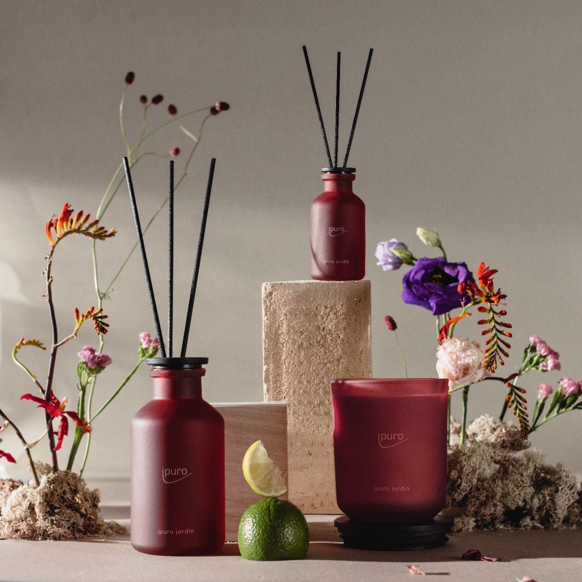 Diffuseur de parfum Ipuro jardin 75ml
