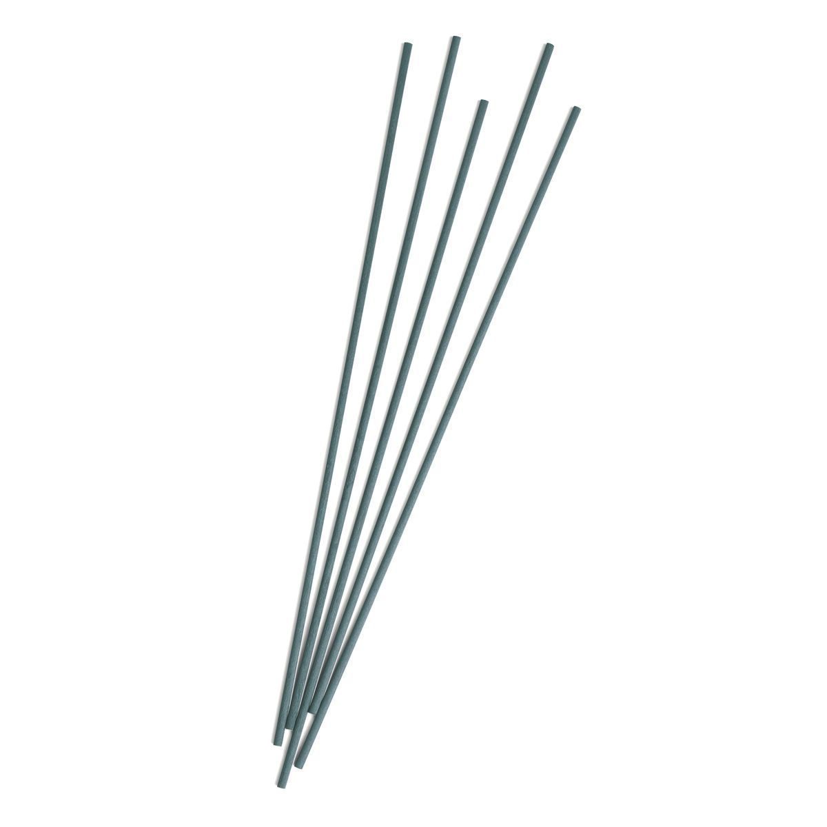 Bâtonnets sublimes de sauge Ipuro 5 pcs.