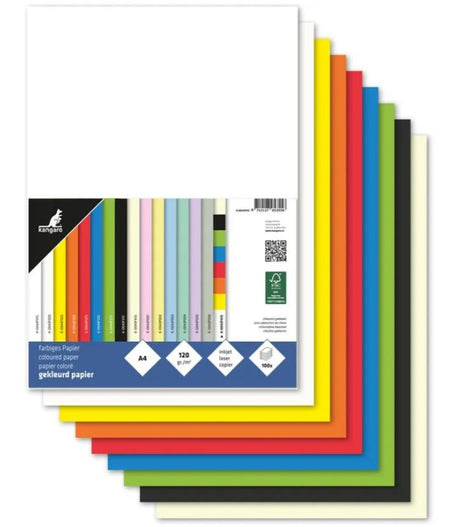 Papier à copier Kangaro a4 120gr 100 feuilles couleurs assorties en pack