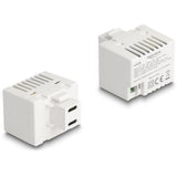 Bloc de connexion USB-C vers 2 broches Keystone