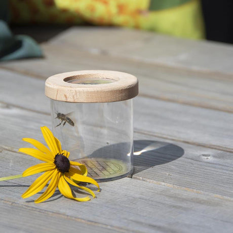 Boîte d'étude d'insectes en bois design Esschert