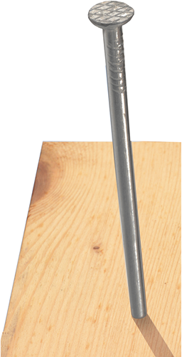 Clou Connex tête plate 3,1x80 1kg fe - kk1013180