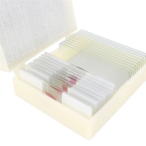 Konus preparation set bacteria, simple organisms (10 pieces)