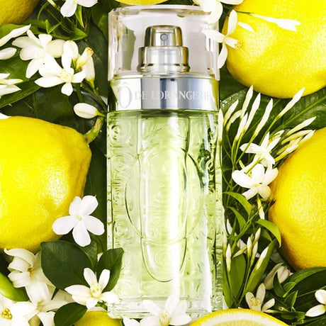 Lancôme eau de toilette spray ô de 125ml femme