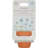 Little dutch plantenpotje vergeet-mij-nietjes