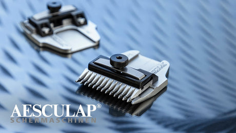Aesculap produits économiques tête de rasage favorita 5mm caniche grossier
