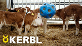 Boule d'alimentation bleue