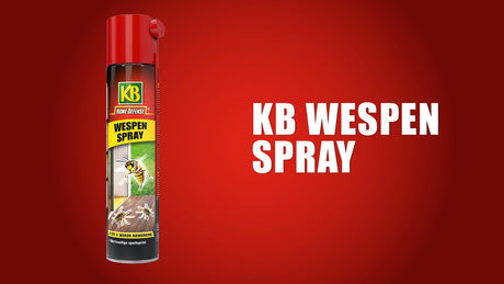 Kb control kb spray guêpe 400ml