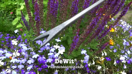 The white products coupe pissenlit bio manche frêne 14cm dewhite