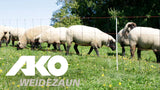 Ako producten schapennet titanlicht oranjezw 90cmx50m enkele pen