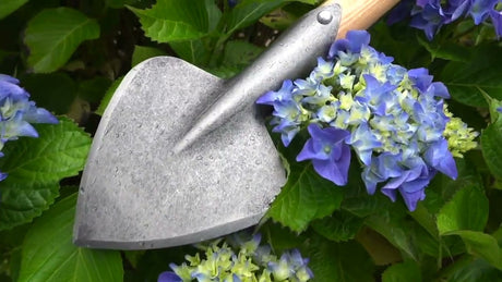 La plante blanche graphique chou plante pelle frêne t tige 40cm dewhite