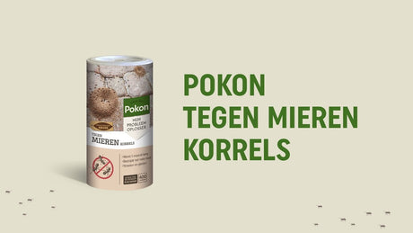 Granulés de fourmis Pokon 250gr