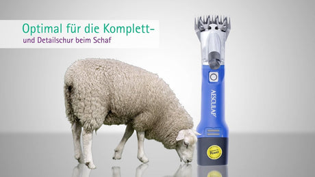 Aesculap produits économiques tondeuse à moutons économique sans fil plus1 batterie 1