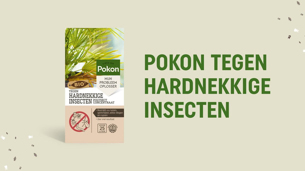 Pokon bio contre les insectes persistants concentré 175ml poly
