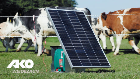 Ako products duo power xi8000 électrificateur intelligent 230v 12v