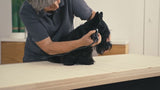 Produits Moser tondeuse à cheveux rex 1230