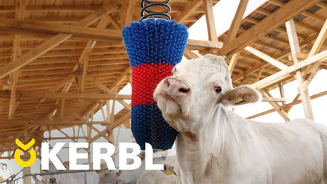 Produits brosse à bovins happycow flexiswing