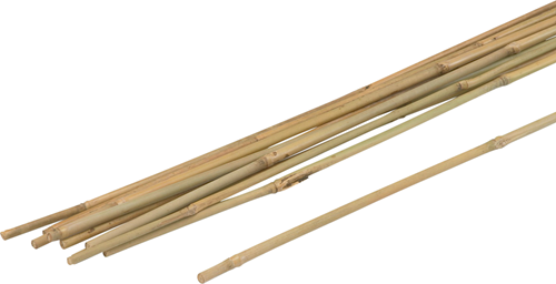 Meister bâton de plante bambou 120cm (10pcs) - wu9966410