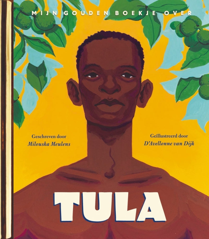 Rubinstein mon livre d'or sur Tula