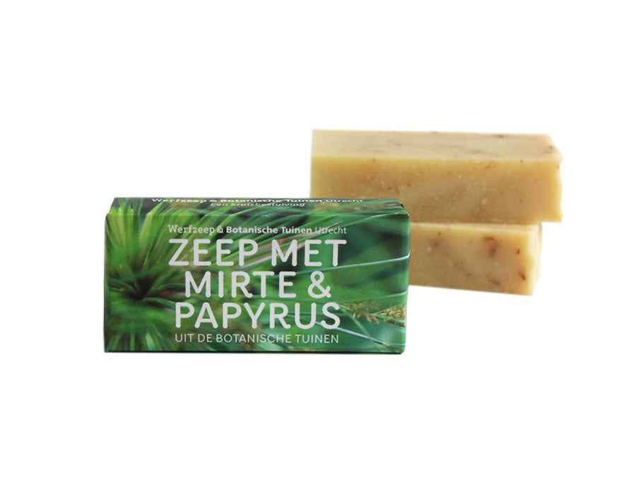 Savon Werf - Jardins botaniques - Mirte Papyrus