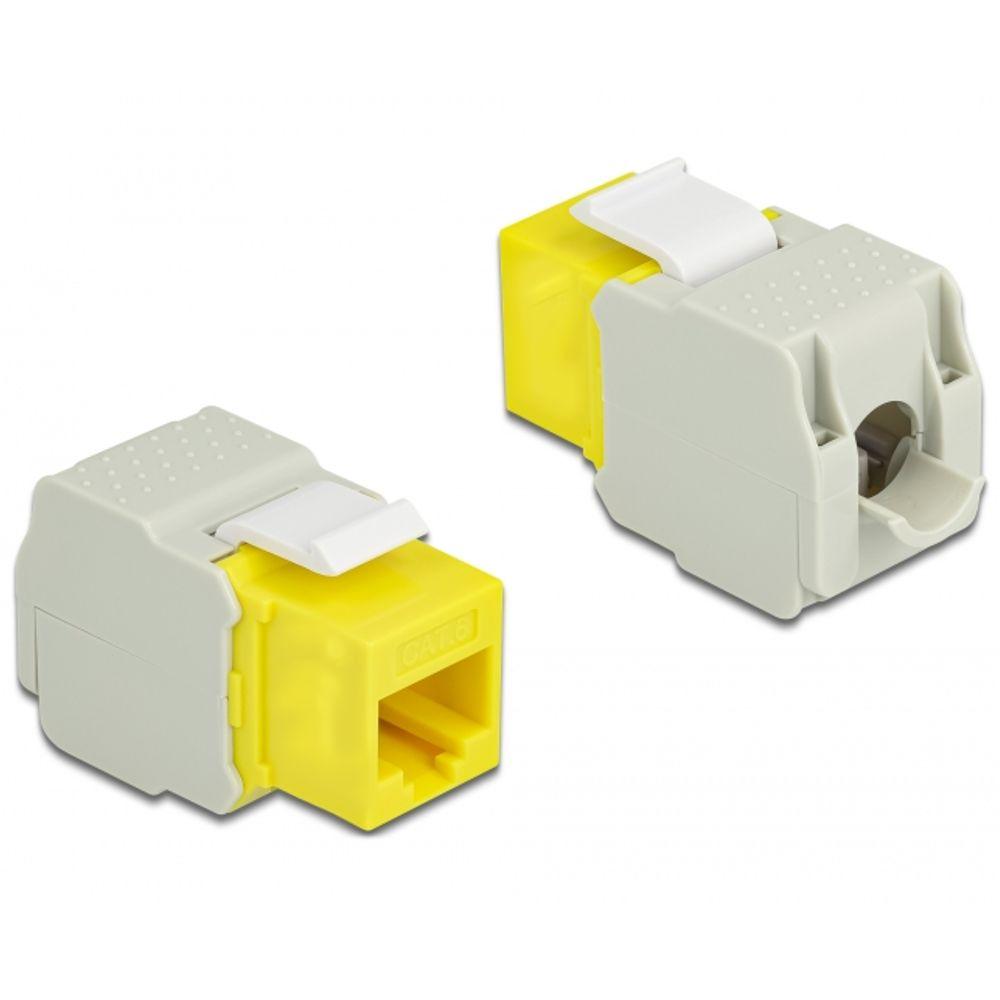 Clé de voûte du réseau Cat 6 RJ45