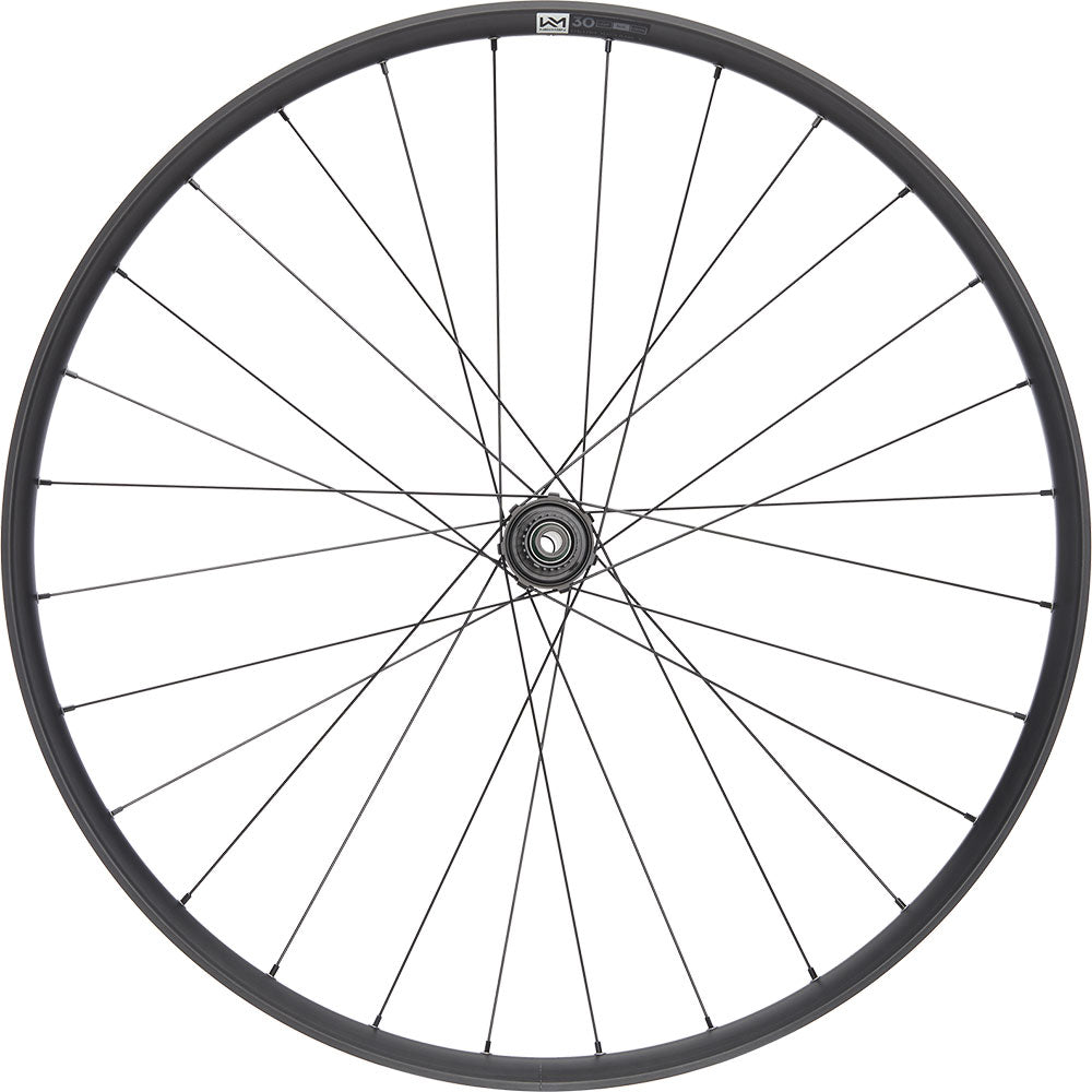 Roue arrière Newmen performance 30 light 29 6 boulons 12x148 fade